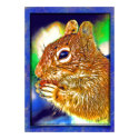 Quentin G. Squirrel posters