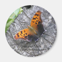 Question Mark Butterfly Fridge Magnet
