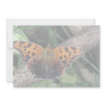Question mark butterfly, Ontario, Canada Custom Invites