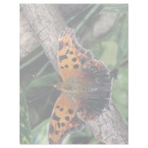 Question mark butterfly, Ontario, Canada Letterhead Template