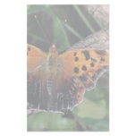 Question mark butterfly, Ontario, Canada Personalized Stationery