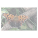 Question mark butterfly, Ontario, Canada Custom Stationery