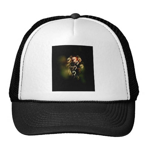 questions mesh hats