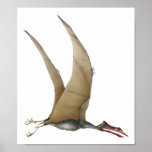 Quetzalcoatlus Posters