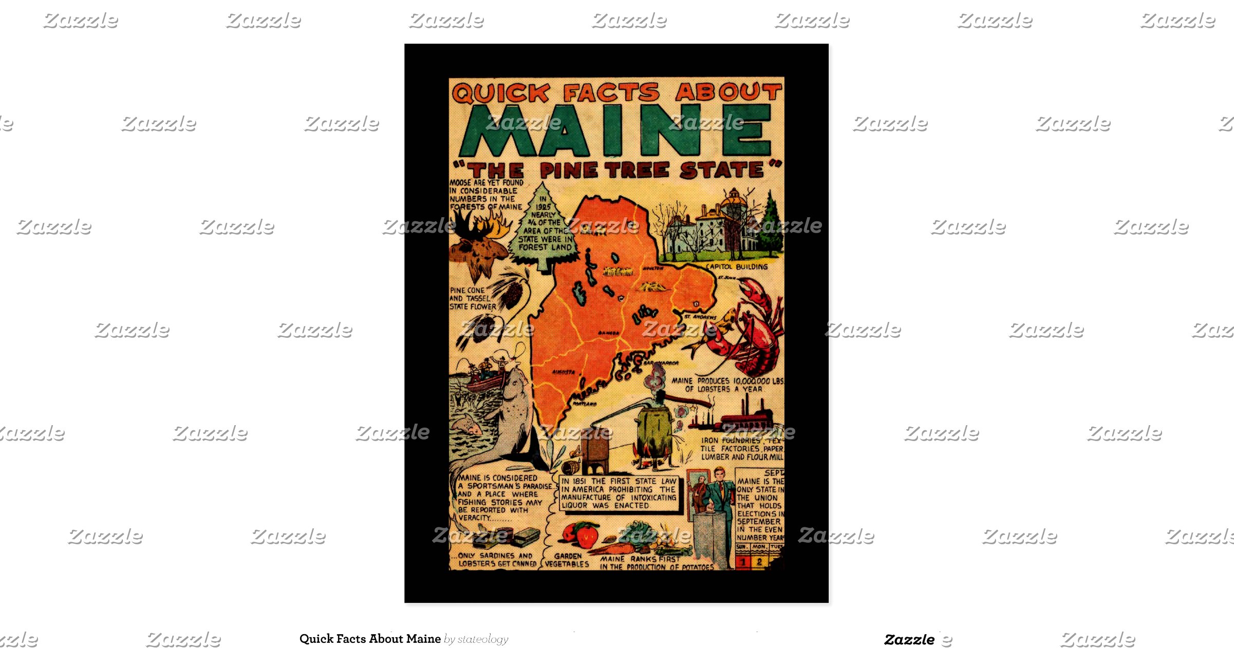 quick_facts_about_maine_postcardr23b3da64afee49ccb5ea864cb4f48eb1