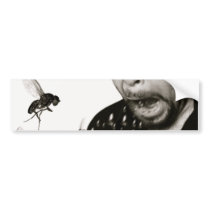 Quickening bumper stickers
