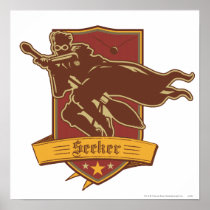 Quidditch Seeker Badge Posters
