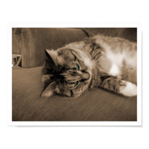 Quiescence in Rust posters by VailK Quiescence in Rust posters