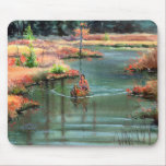 QUIET CANOE by SHARON SHARPE mousepads