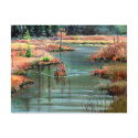 QUIET CANOE by SHARON SHARPE postcards