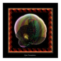 Quiet Contemplation. posters by PixelRic Quiet Contemplation. posters