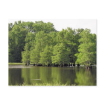 Quiet Cove postcards