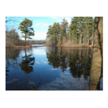 Quiet Cove ~ postcard