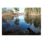Quiet Cove w/Dog ~ ATC