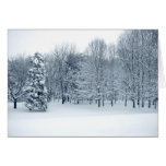 Quiet Forest Cards