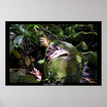 Quiet Interlude Print