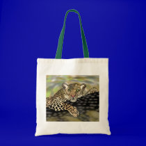 quiet leopard bags
