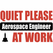 Quiet Please Aerospace Engineer At Work photo sculptures