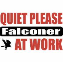 Quiet Please Falconer At Work photo sculptures
