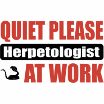 Quiet Please Herpetologist At Work photo sculptures by busybrain Quiet Please Herpetologist At Work photo sculptures