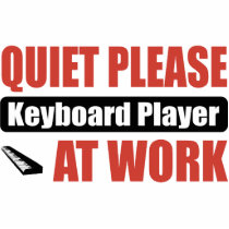 Quiet Please Keyboard Player At Work photo sculptures
