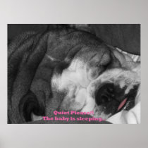 quiet please the baby is sleeping print
