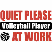Quiet Please Volleyball Player At Work photo sculptures