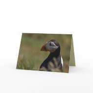 Quiet Puffin card