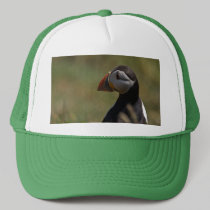 Quiet Puffin hats