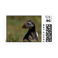 Quiet Puffin stamp