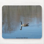 Quiet Reflection Mouse Mat