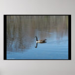 Quiet Reflection Poster