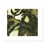QUIET REPRIEVE by CR SINCLAIR posters