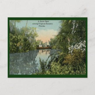 Quiet Spot in Tropical Florida Vintage postcard