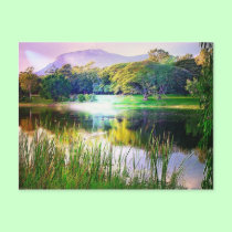 Quiet Stream Postcard