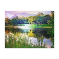 Quiet Stream Postcard