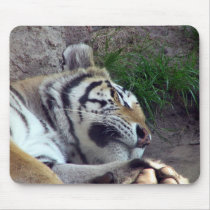 Quiet Time mousepads