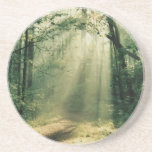 Quiet Walkway Coasters