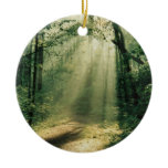 Quiet Walkway Christmas Tree Ornaments