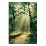 Quiet Walkway Posters