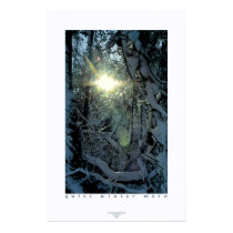 Quiet Winter Morn posters