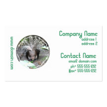Quilled Porcupine Business Cards