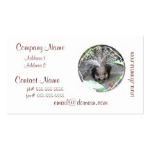 Quilled Porcupine Business Cards