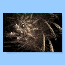 QUILLS OF THE PHEASANT  posters
