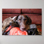 Quincy Poster