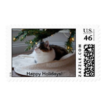 Quincy under the Christmas tree. Postage