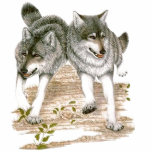 Quinnell Wolfs Polo T-shirt
