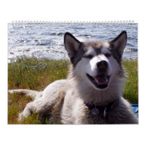 Quinn's Calendar 2007