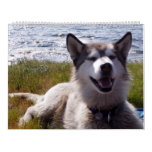 Quinn's Calendar 2007