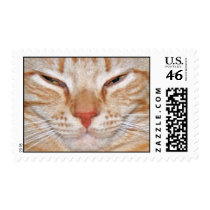 Quite Frankeh postage